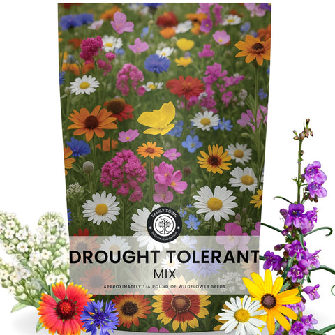 Family Sown drought-tolerant mix seeds packaging—ideal for low-water landscapes.