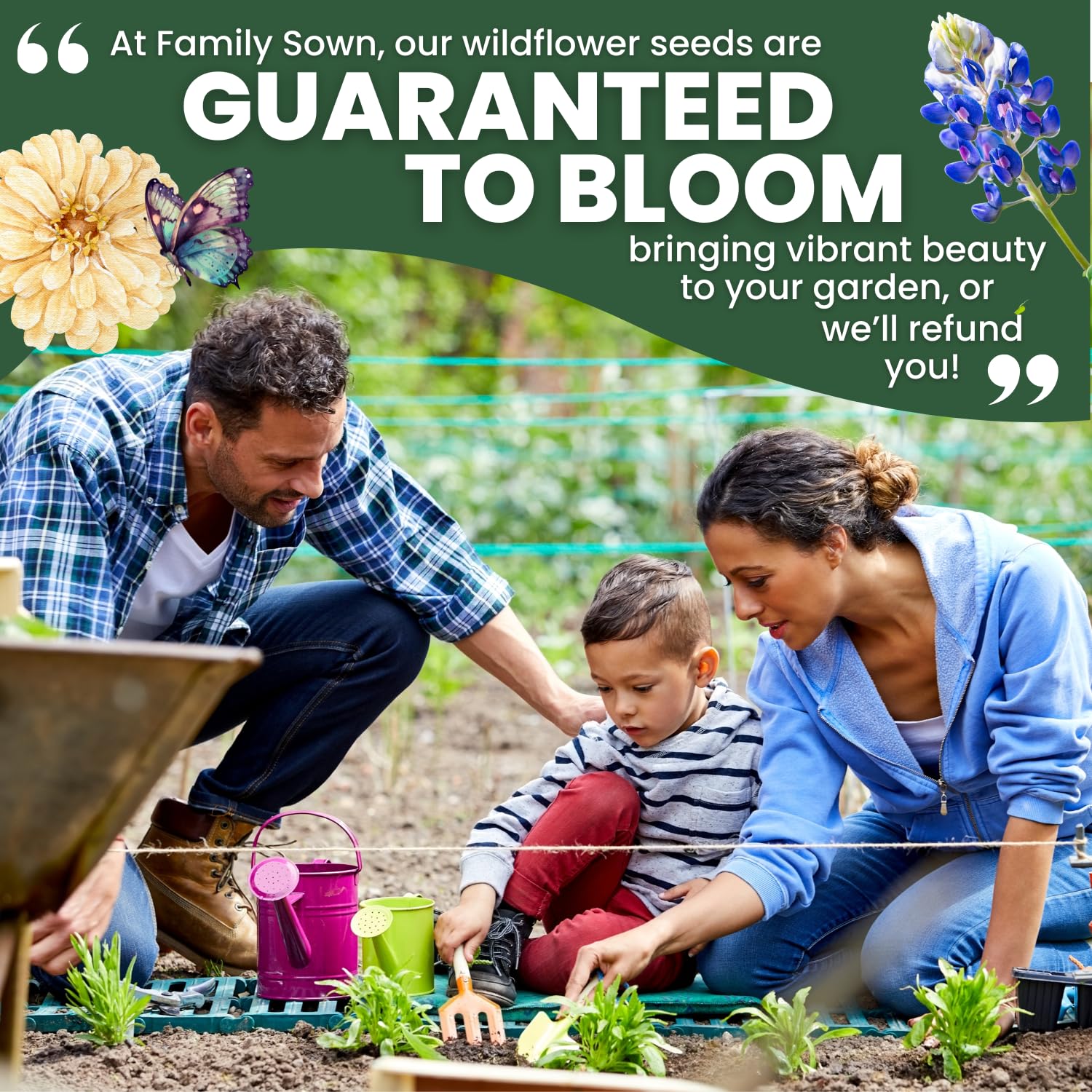 Family Sown drought-tolerant mix for hot summers