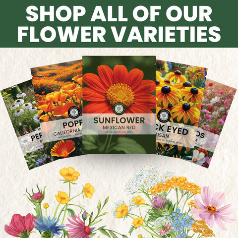 Family Sown simple planting instructions and freshness-sealed packaging included.