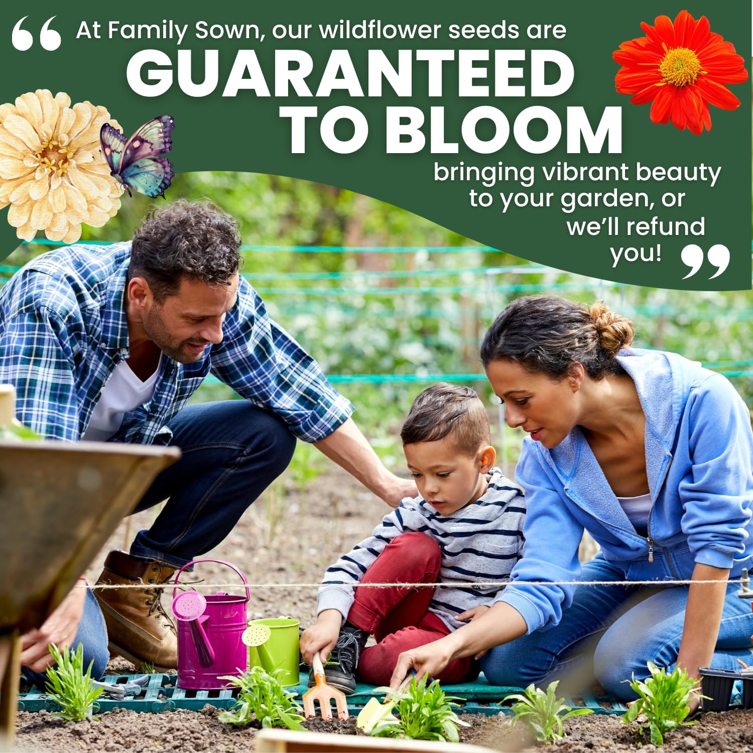Family Sown 2026 season fresh seeds for reliable garden performance.
