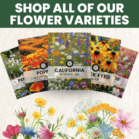 Family Sown freshness-lock 1-ounce pouch keeps seeds fresh.