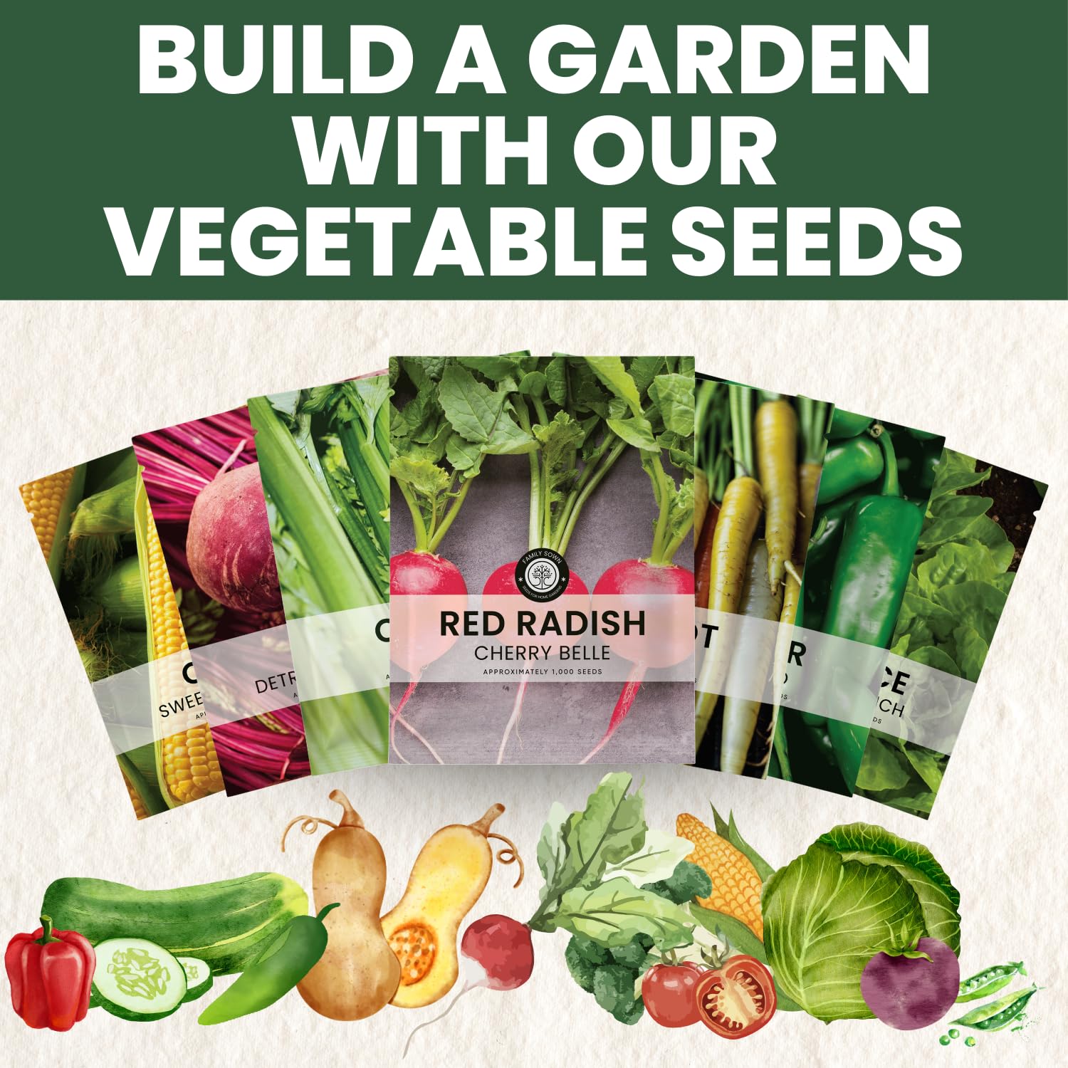 Garden bed planting Cherry Belle radish with compact roots and quick harvests.