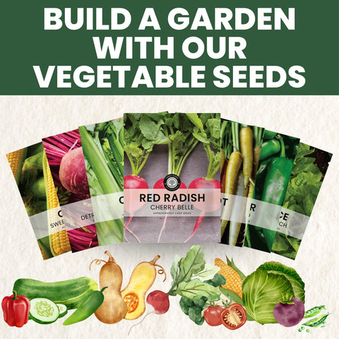 Garden bed planting Cherry Belle radish with compact roots and quick harvests.