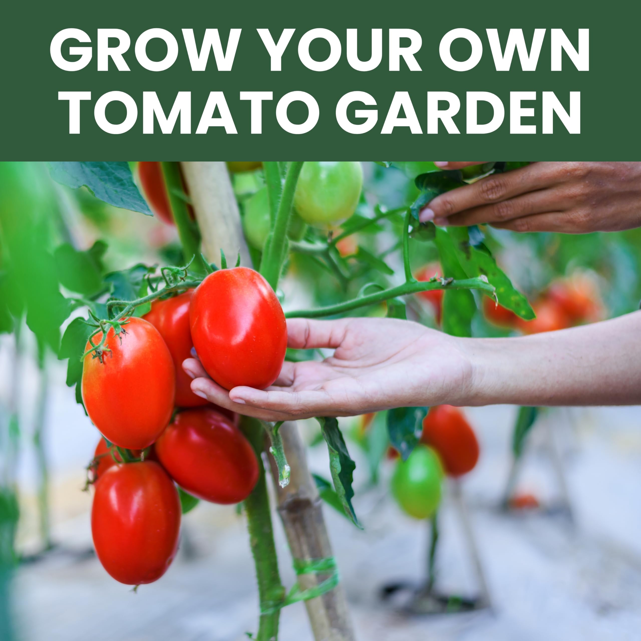Family Sown gift packaging includes easy planting instructions and a reusable zipper