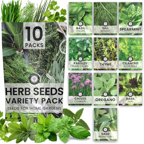 Family Sown gift-ready herb seed packaging for beginners.