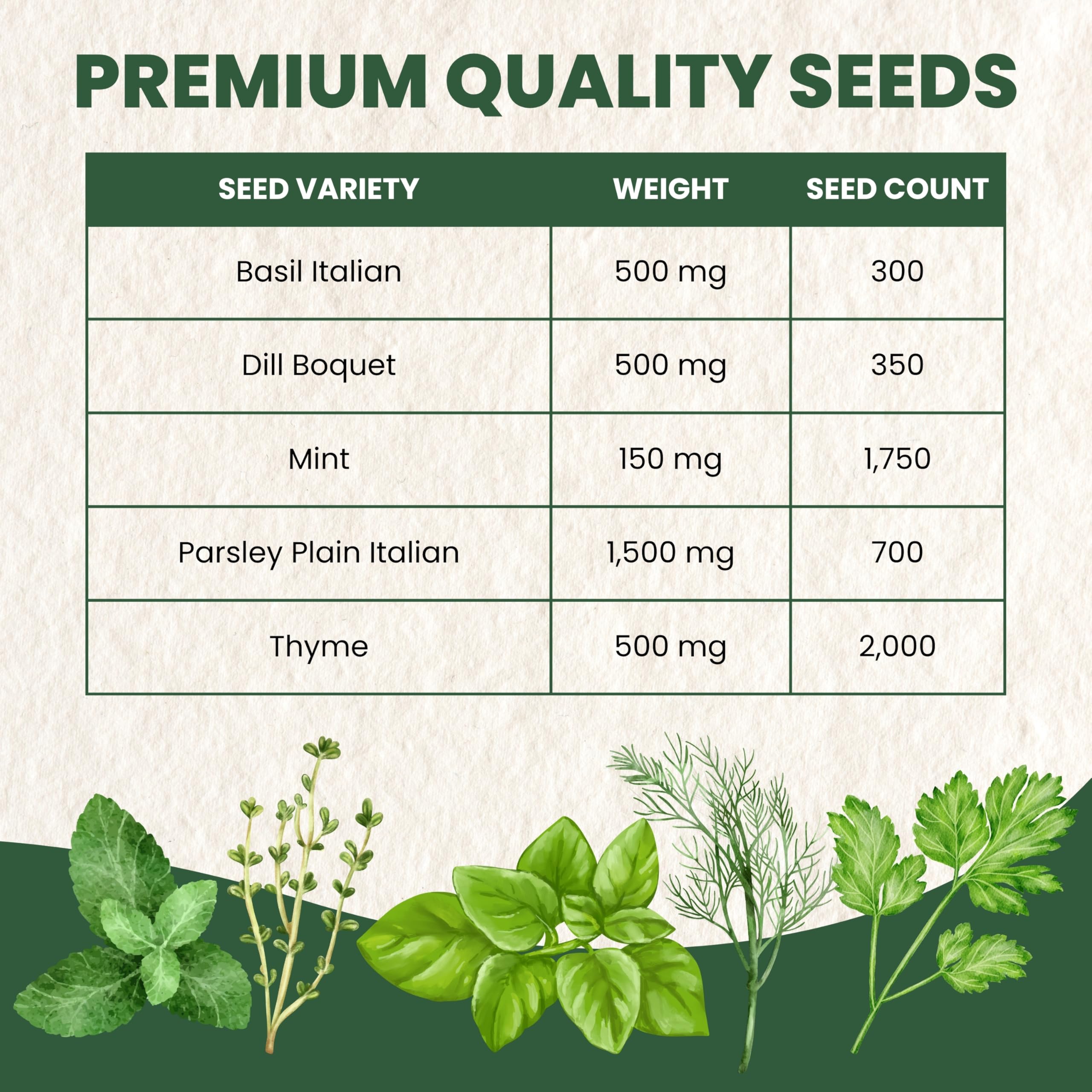 Family Sown Parsley Plain Italian seeds pack for garnish and flavor