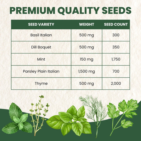 Family Sown Parsley Plain Italian seeds pack for garnish and flavor
