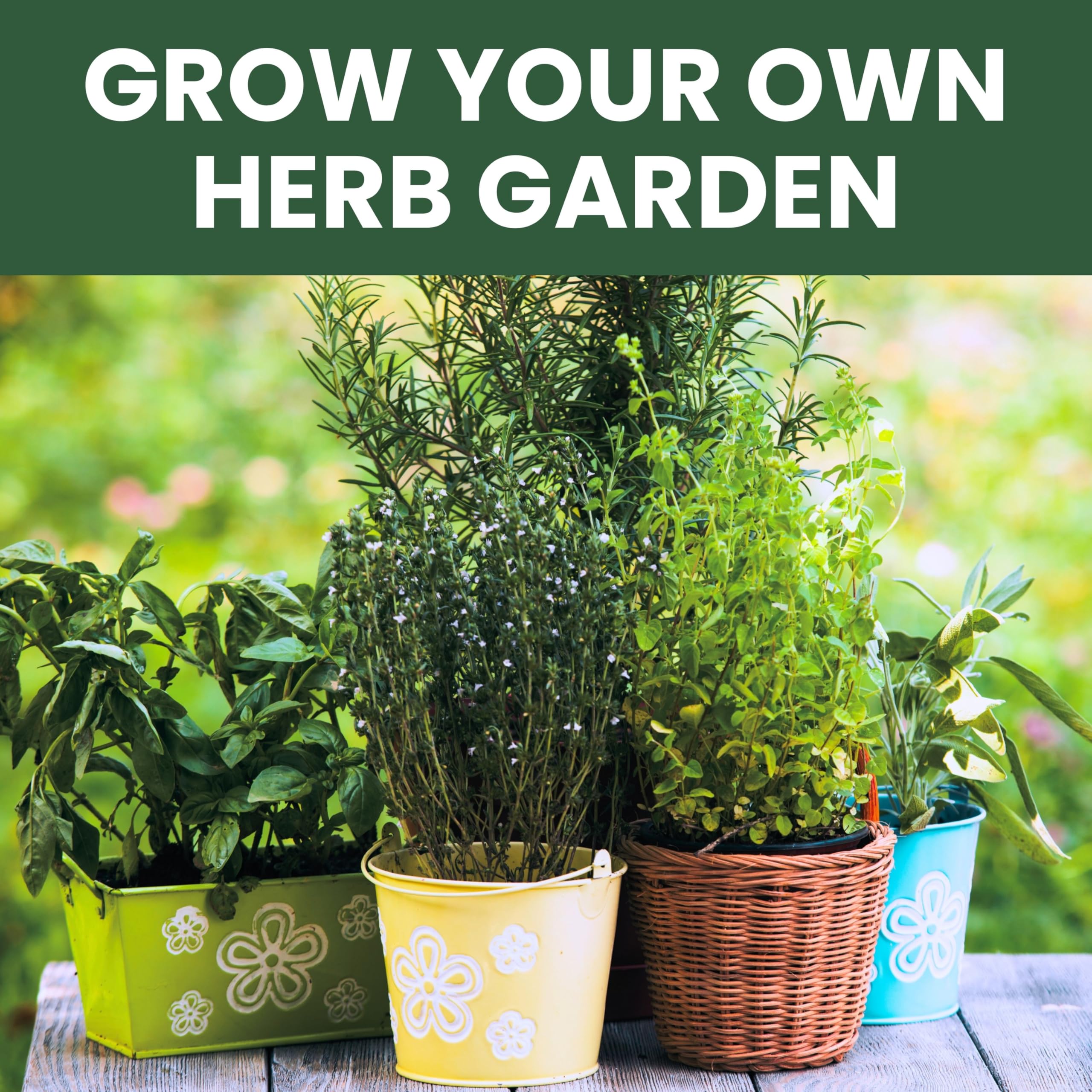 Family Sown Thyme seeds pack for savory roasting and seasoning