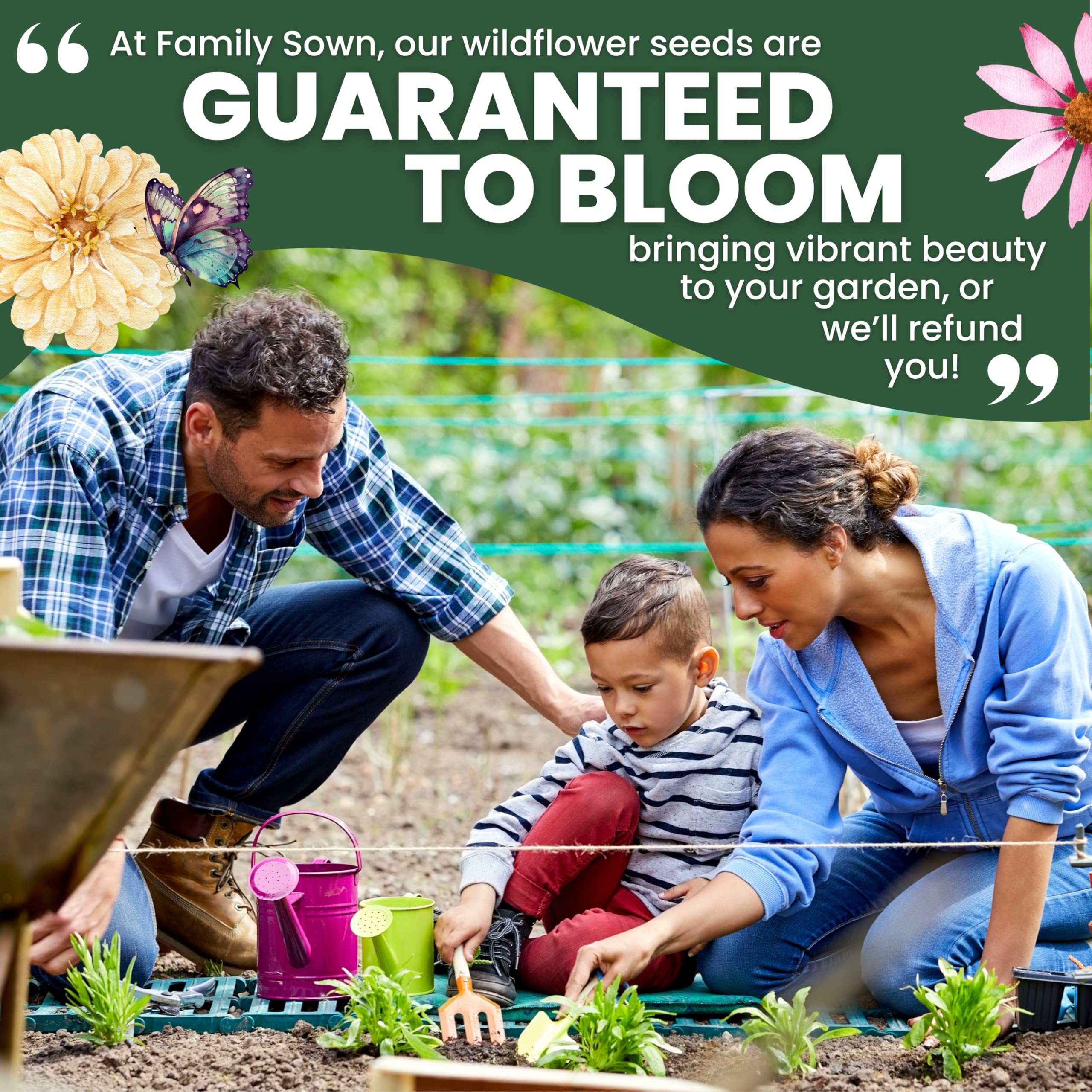 FAMILY SOWN seeds offer high germination for quick blooms.