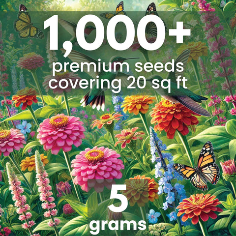 Family Sown Hummingbird Butterfly Mix flowering plants attracting nectar-loving pollinators.