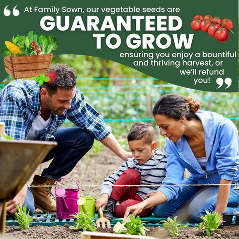 Clear planting instructions included with seed packet for easy setup