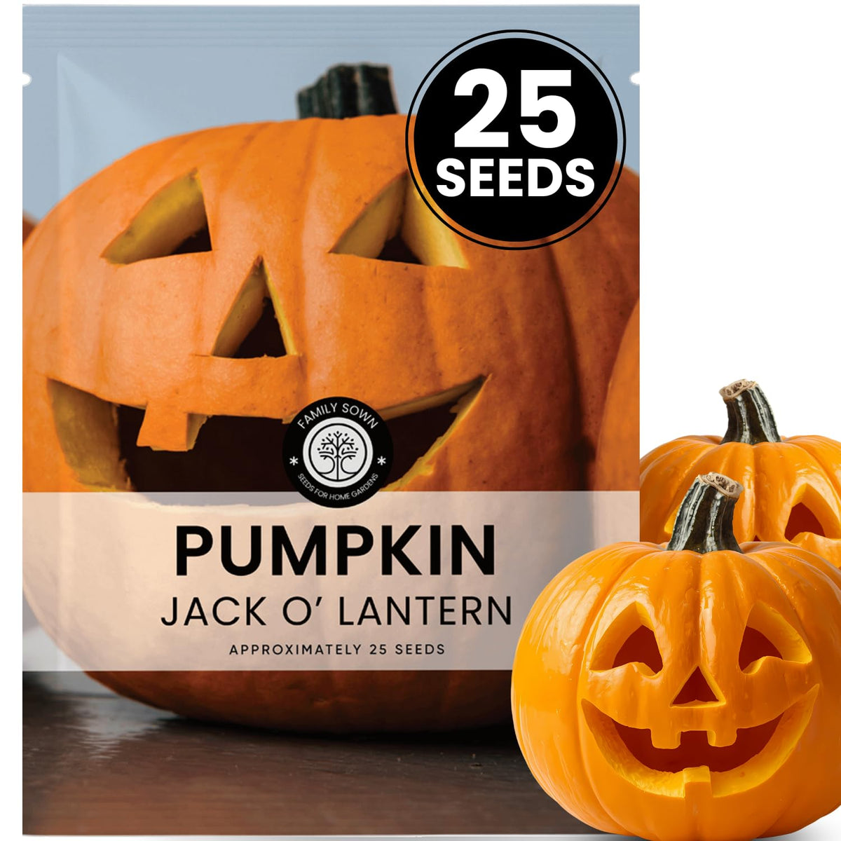 Family Sown Jack-O-Lantern seeds pack view for easy autumn planting