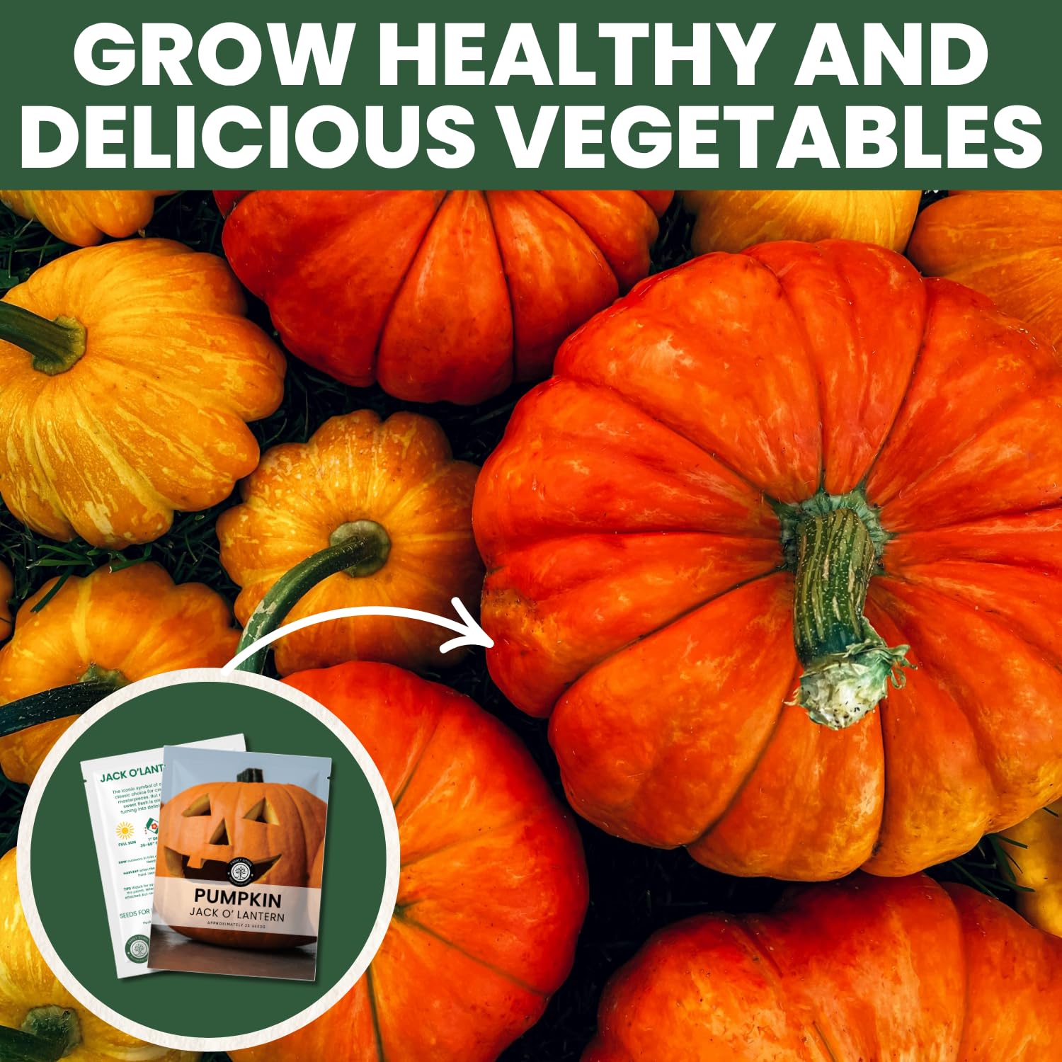 Family Sown Jack-O-Lantern seeds pouch packaging sealed for freshness