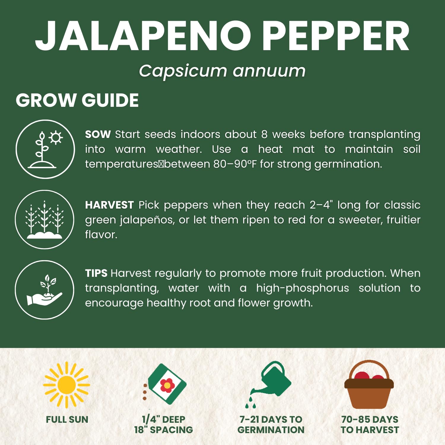 Family Sown heirloom jalapeños offer classic heat suitable for variety of dishes.