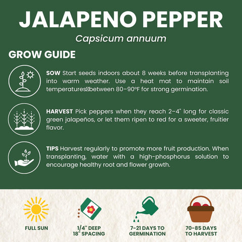Family Sown heirloom jalapeños offer classic heat suitable for variety of dishes.