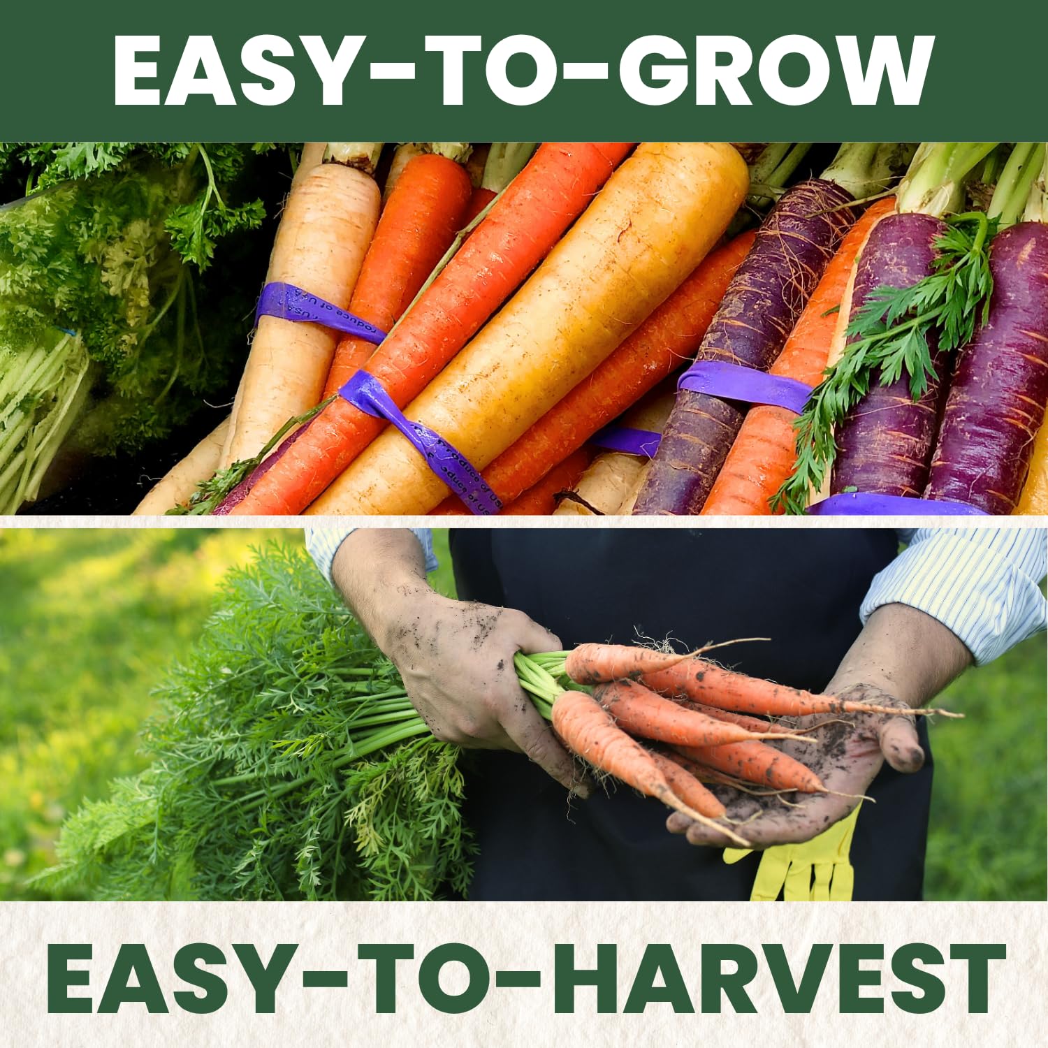 Family Sown kitchen-prep-carrots illustrate versatile, colorful ingredients.