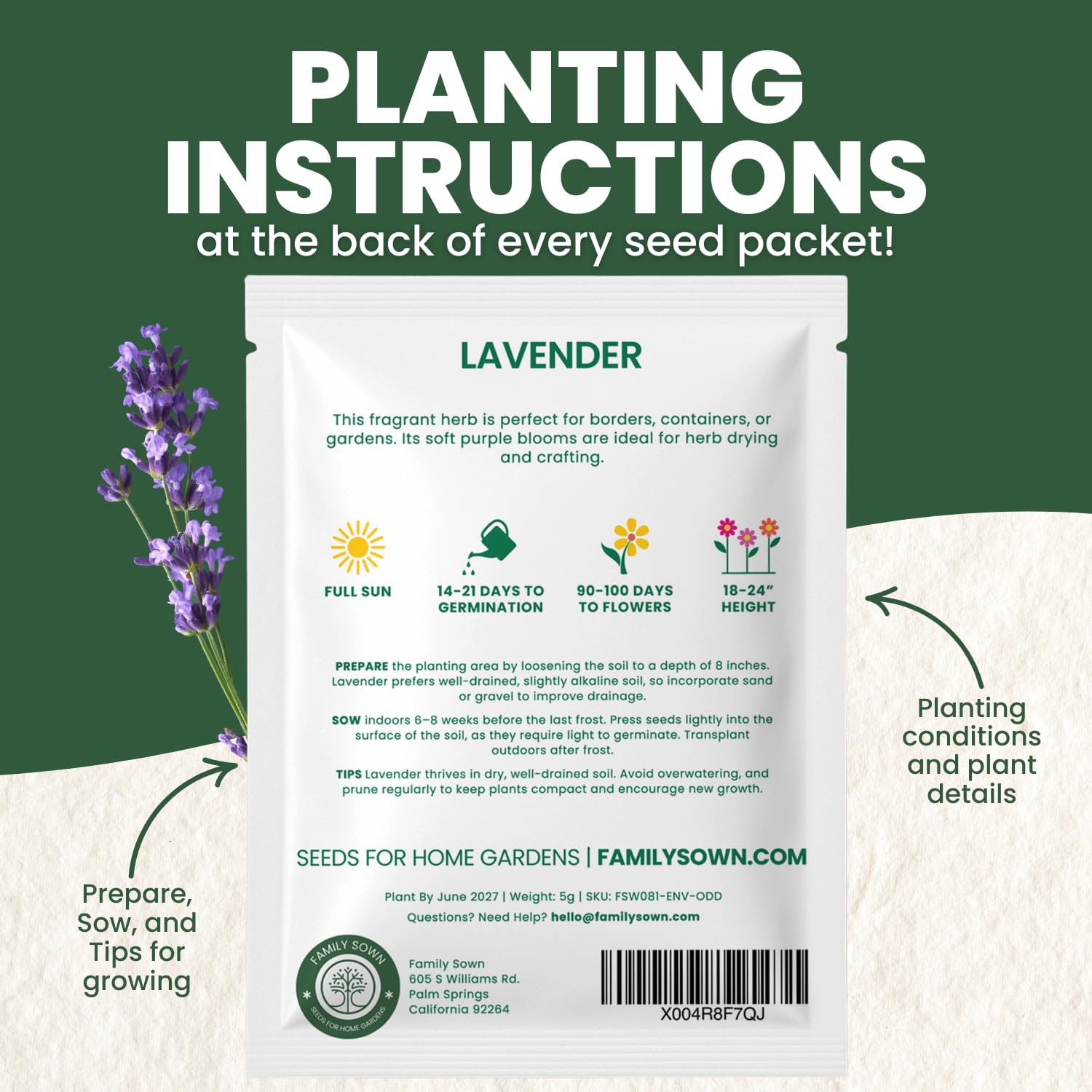 Family Sown Lavender plants border bed—sturdy perennial with long bloom window.
