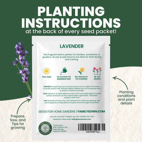 Family Sown Lavender plants border bed—sturdy perennial with long bloom window.