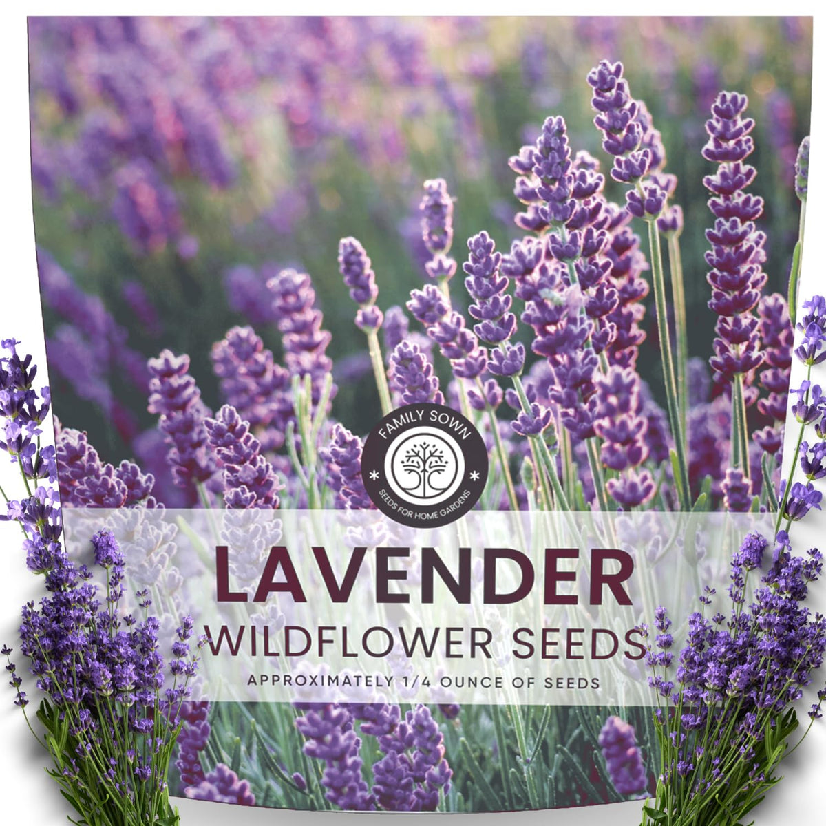 FAMILY SOWN Lavender seeds 7,000-count ready for large garden plots.