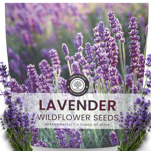 FAMILY SOWN Lavender seeds 7,000-count ready for large garden plots.