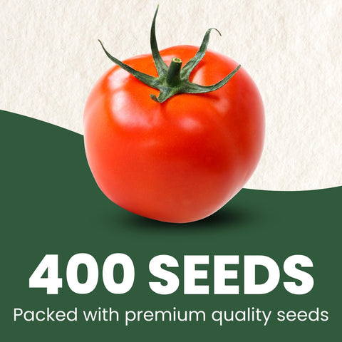 Matt’s Wild Cherry Tomato seeds ready to germinate and grow strong seedlings