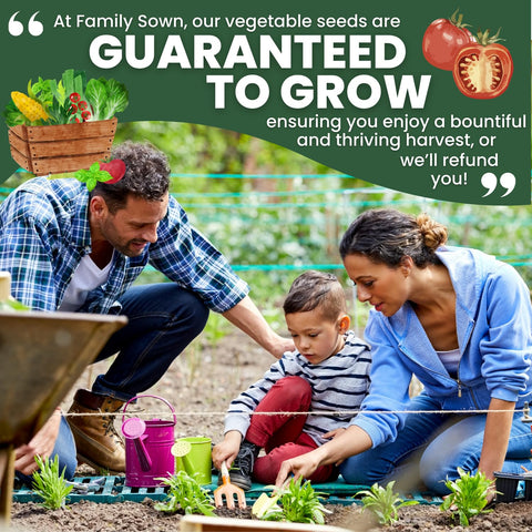 Prolific growth expected with Family Sown Matt’s Wild Cherry Tomato seeds in 2026