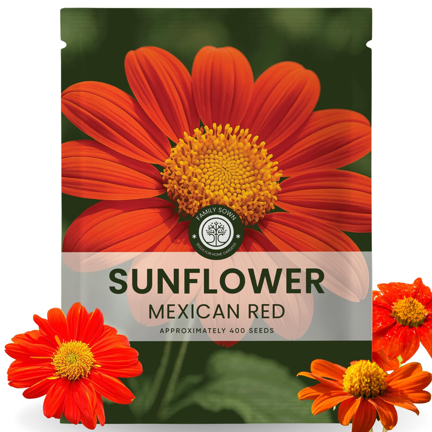 Family Sown Mexican Sunflower red seed packet front, bold border-ready blooms