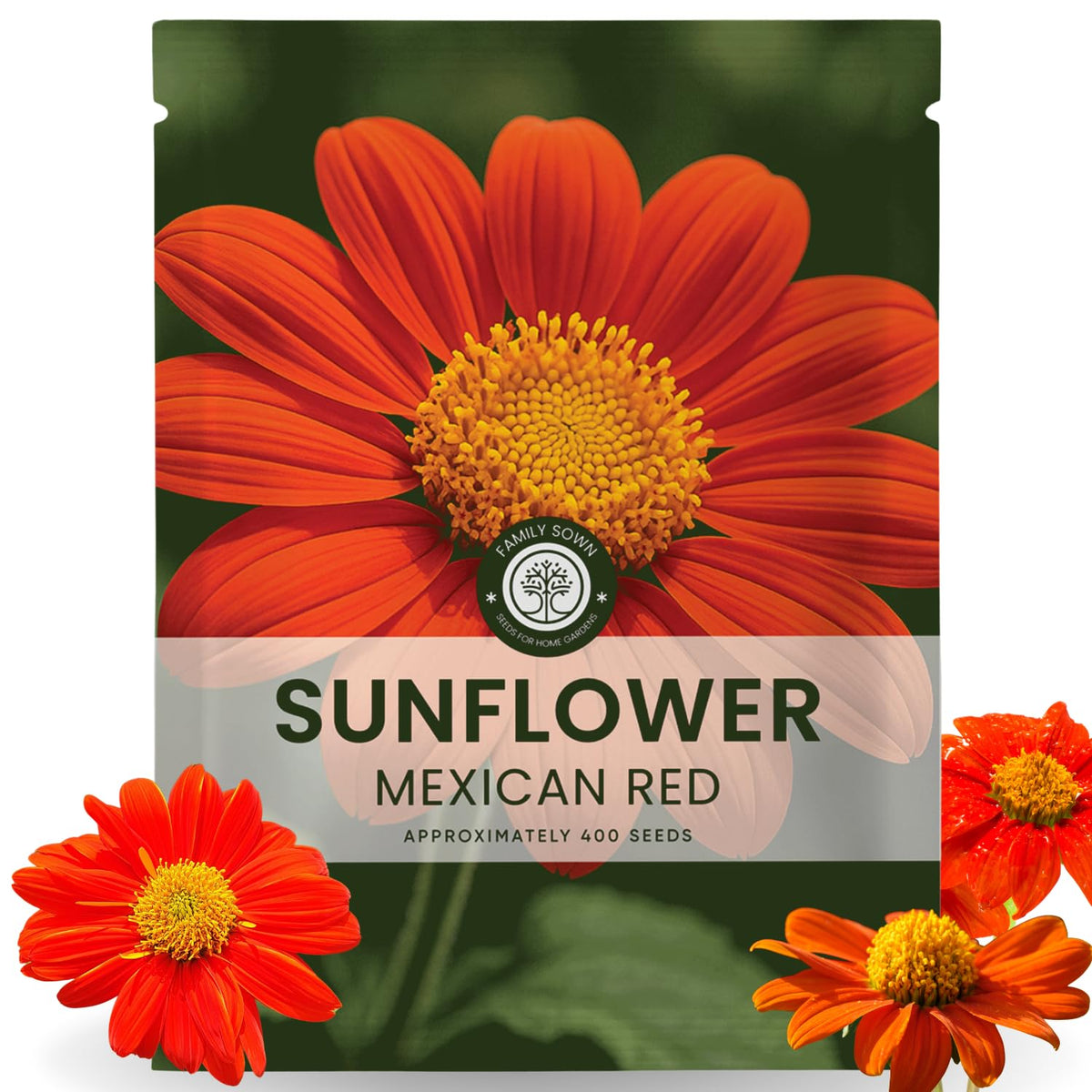 Family Sown Mexican Sunflower red seed packet front, bold border-ready blooms