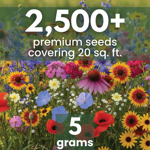 Midwest Regional Mix blooming meadow with colorful wildflowers