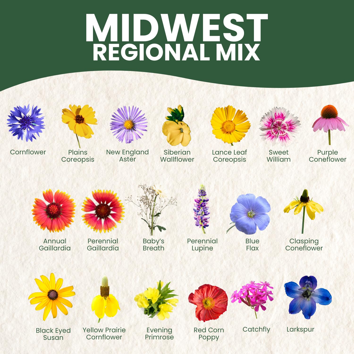 Diverse prairie textures from the Midwest Regional Mix