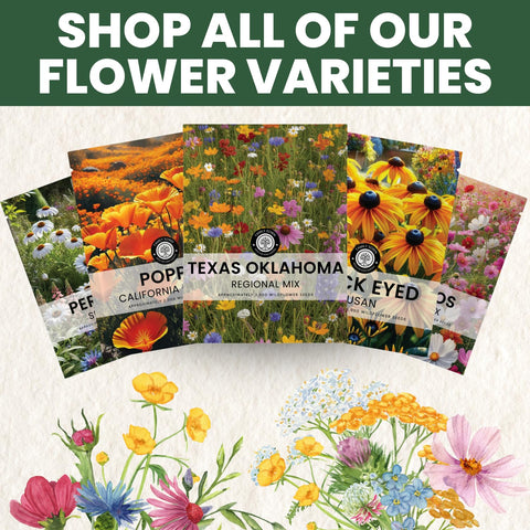 Family Sown native blend supports pollinators