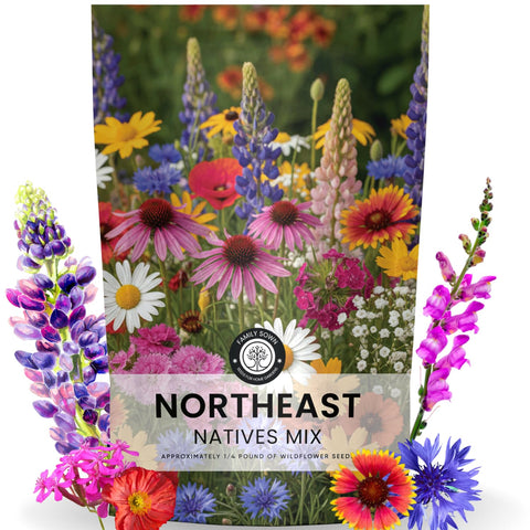 Family Sown Northeast Natives Mix seeds in a moisture-sealed pouch for broad meadow planting.