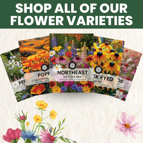 Family Sown Northeast Natives Mix bloom mapping chart included for planning.