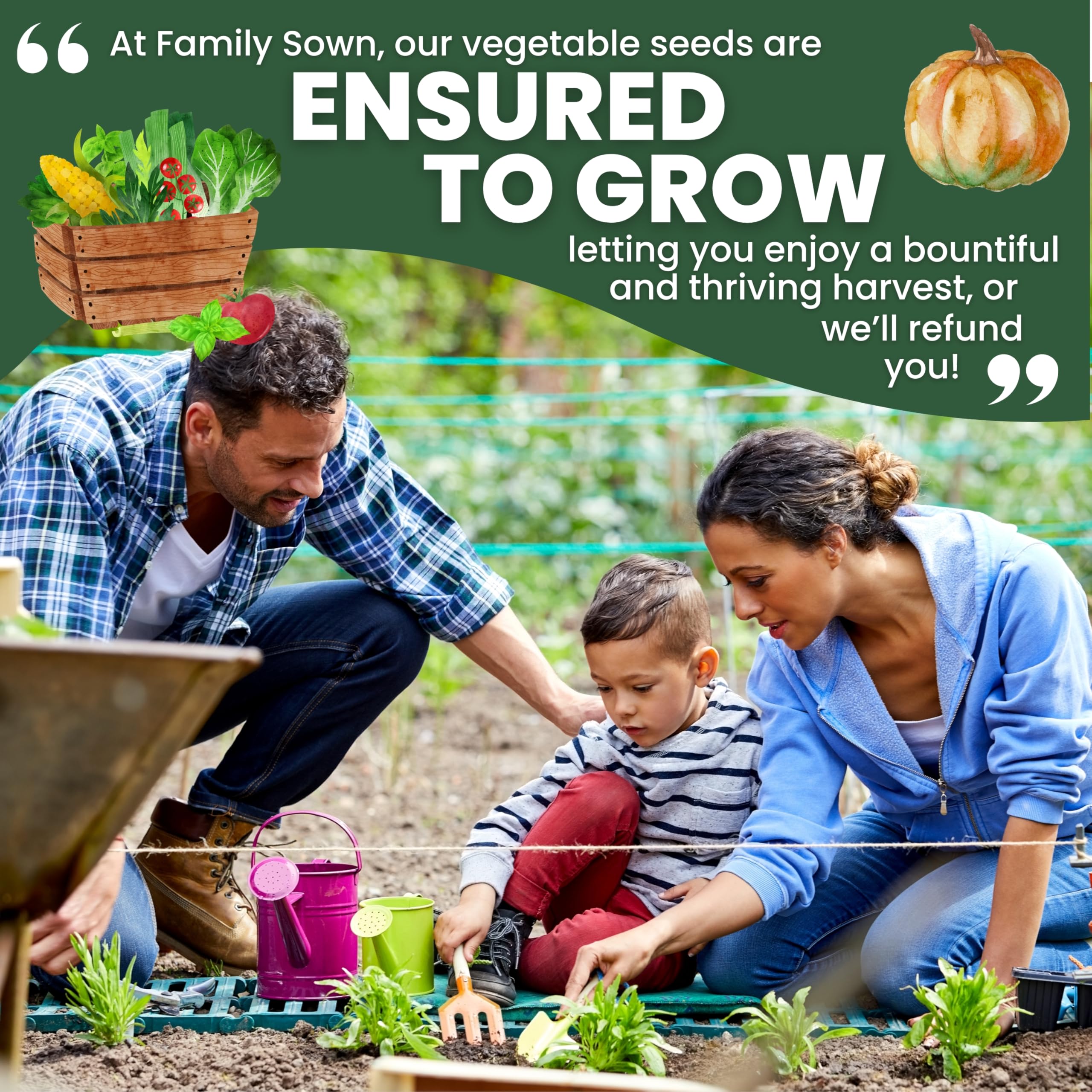 Family Sown pepper California Wonder seed-packet for colorful dishes.