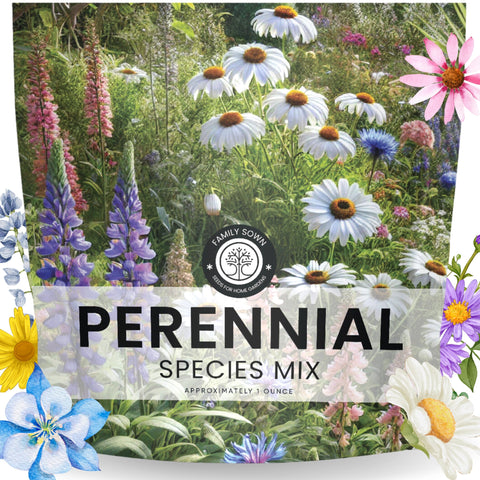 FAMILY SOWN Perennial Mix 1 oz packet with 15,000 seeds for long-lasting blooms.