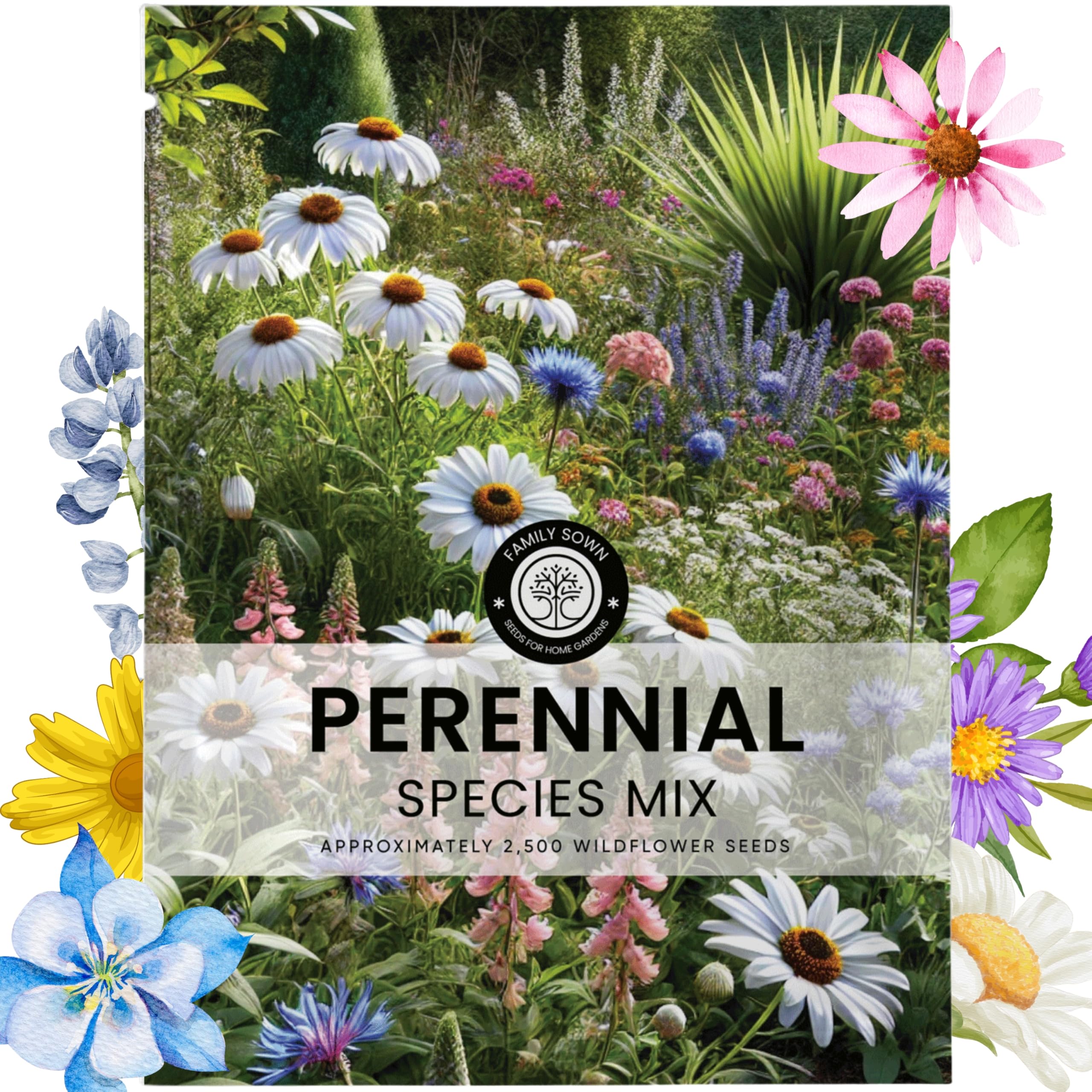 Family Sown perennial mix 5g envelope ready to sow a vibrant border garden