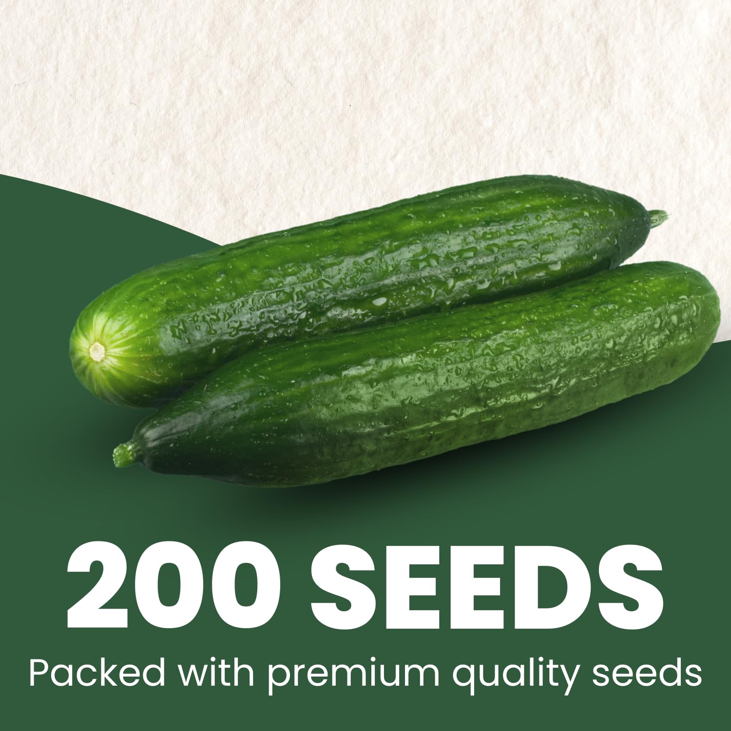 Family Sown 6-gram pouch of Persian cucumber seeds preserving potency for long viability.