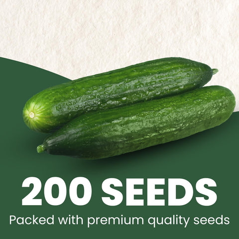 Family Sown 6-gram pouch of Persian cucumber seeds preserving potency for long viability.