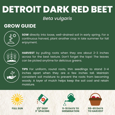 FAMILY SOWN planting seeds image emphasizes easy sowing in sunlit garden beds.