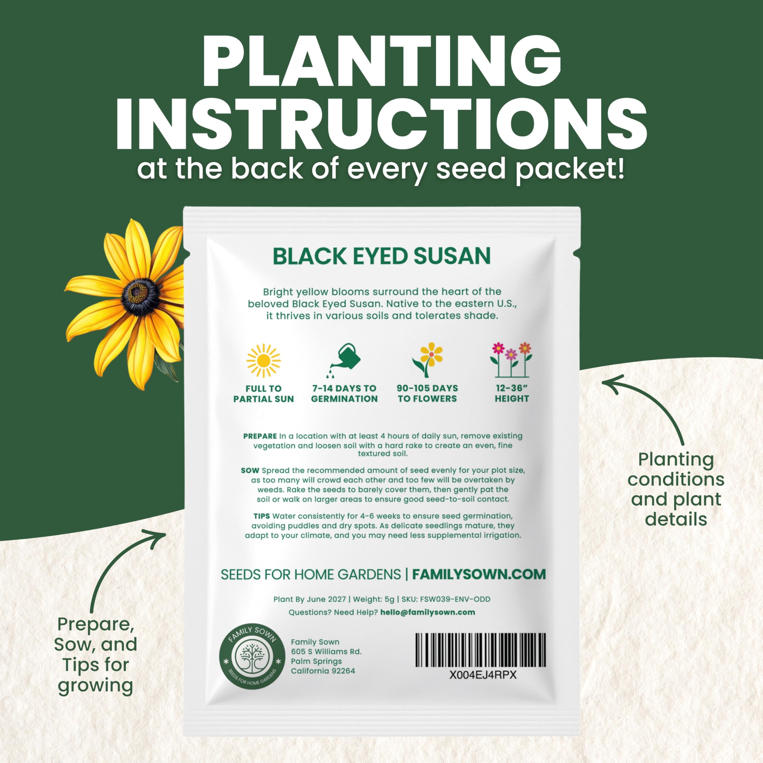 Pollinator-friendly Yellow Black Eyed Susan flowers attracting bees and butterflies
