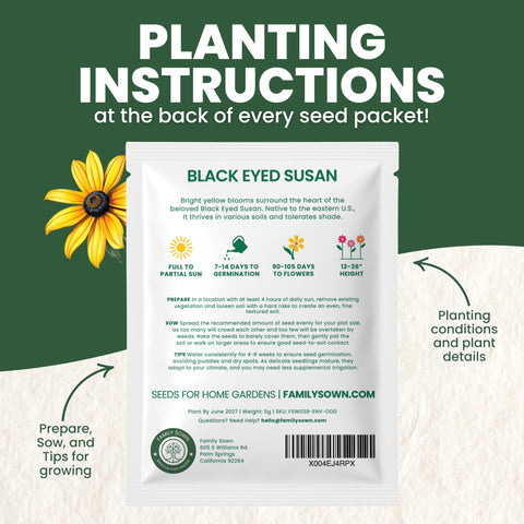 Pollinator-friendly Yellow Black Eyed Susan flowers attracting bees and butterflies