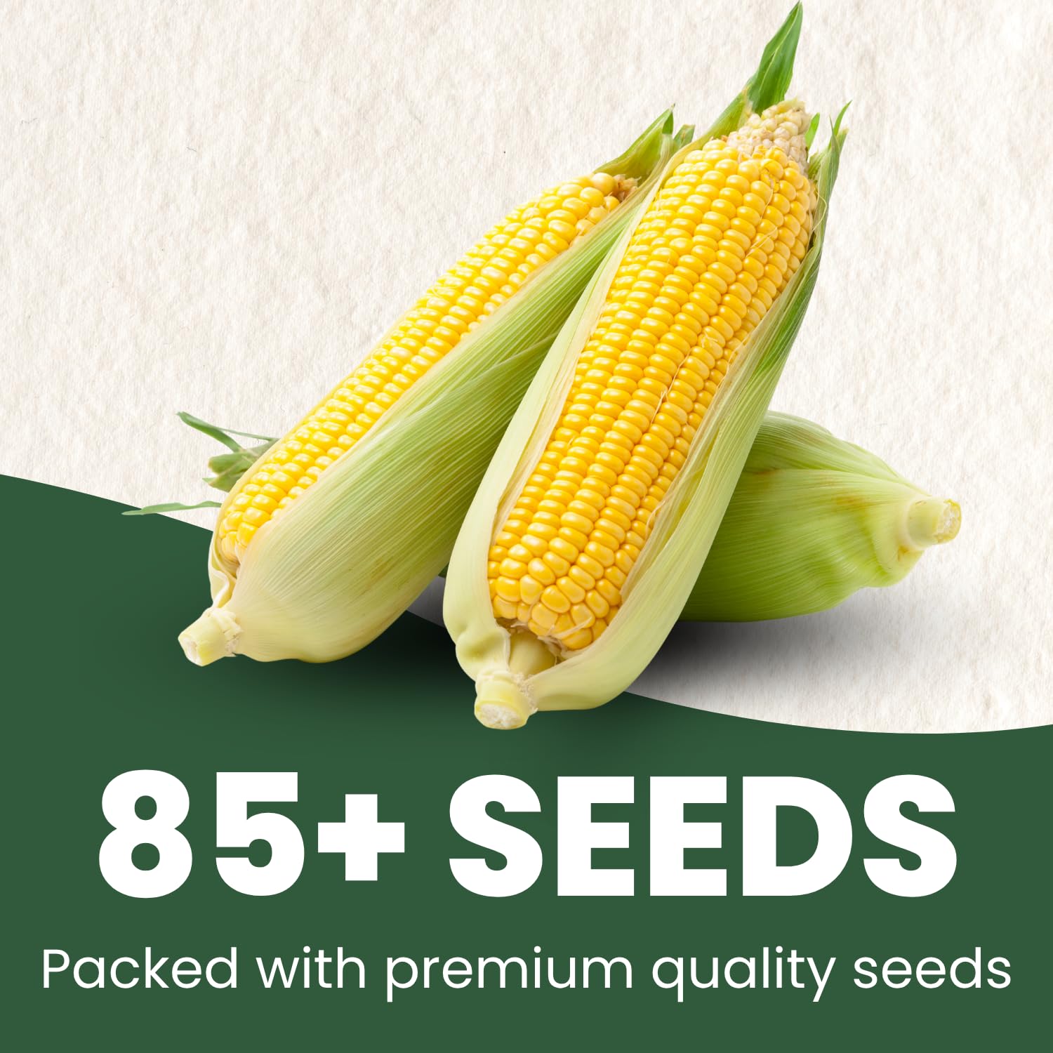 Family Sown 25-gram freshness-sealed pouch of Bantam 12 seeds ensures reliable germination.