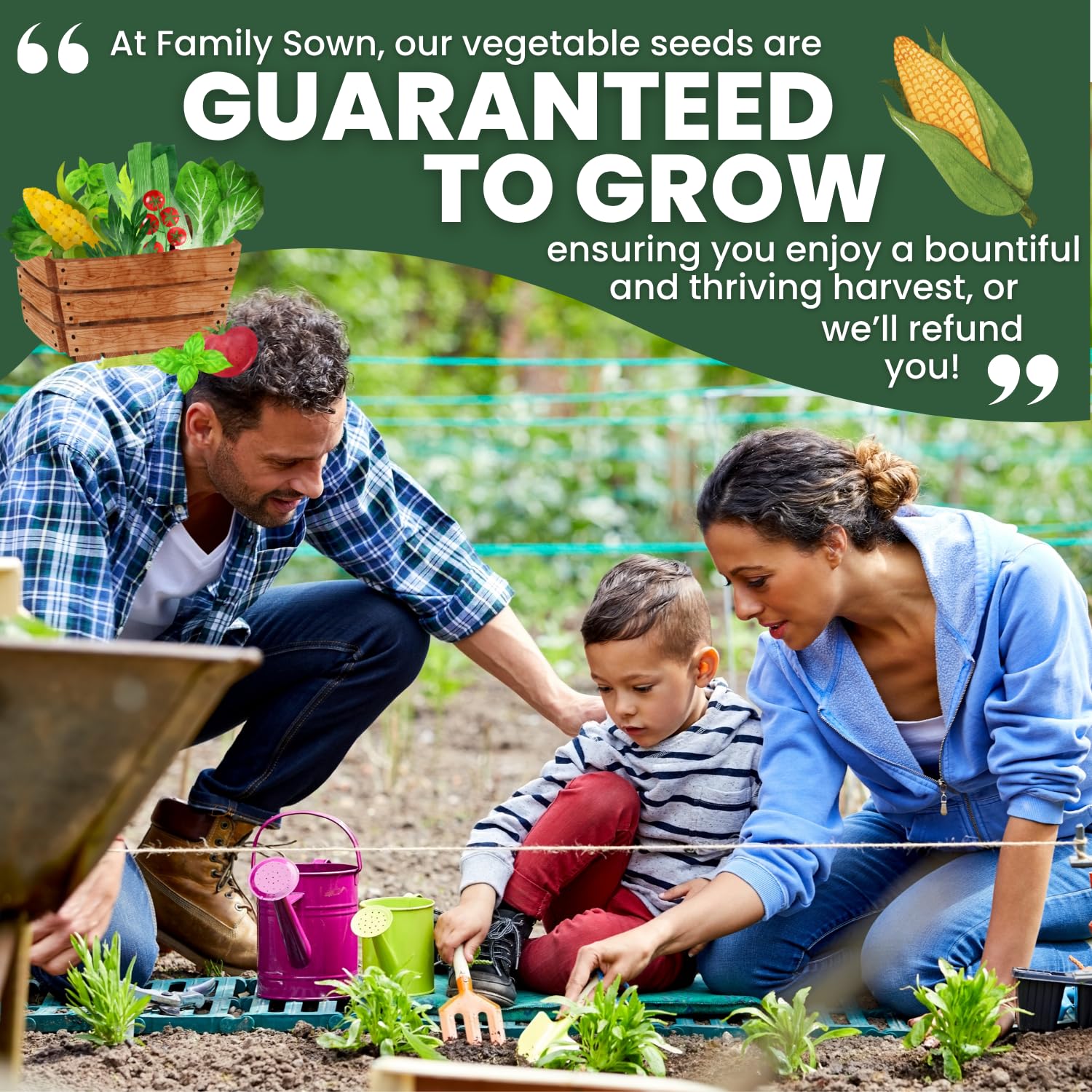 Family Sown tips for preserving corn after harvest for later meals.