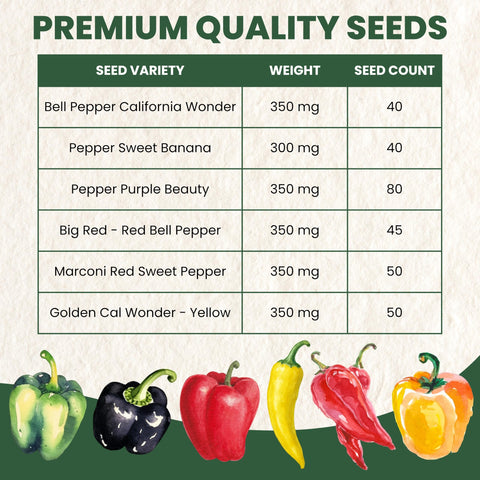 Family Sown Purple Beauty pepper seeds, ideal for vibrant patio containers and pepper harvests.