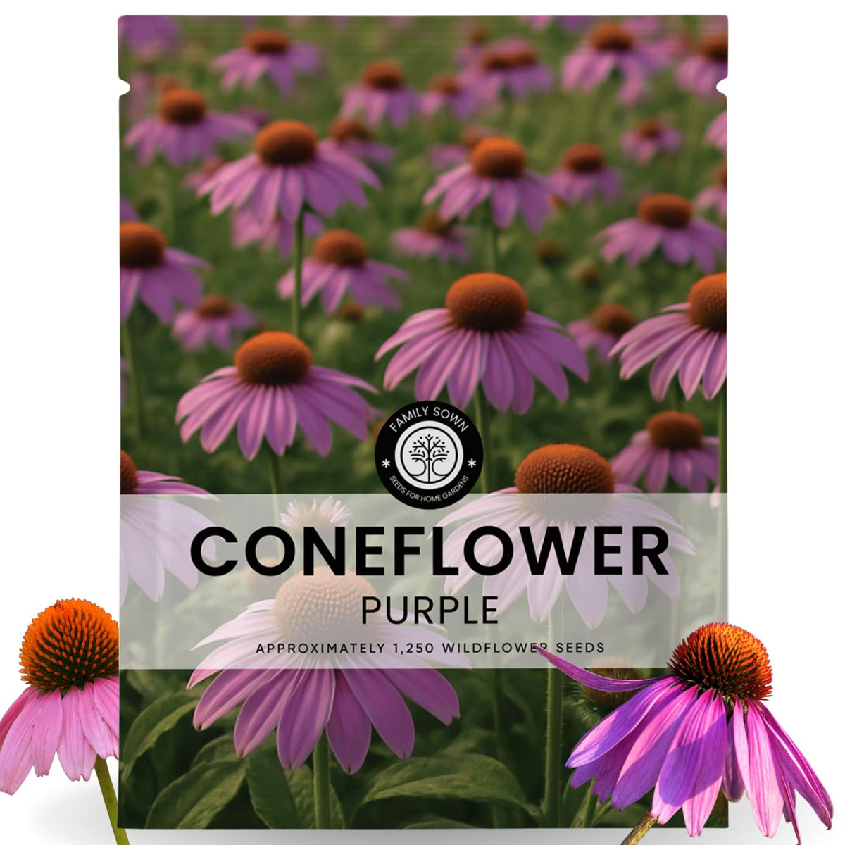Family Sown Purple Coneflower seeds 1250 ready for reliable perennial planting and bloom potential.