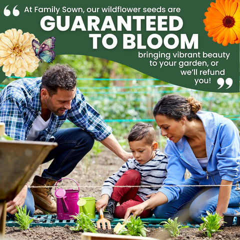 Family Sown quick-start garden setup with edible mix seeds