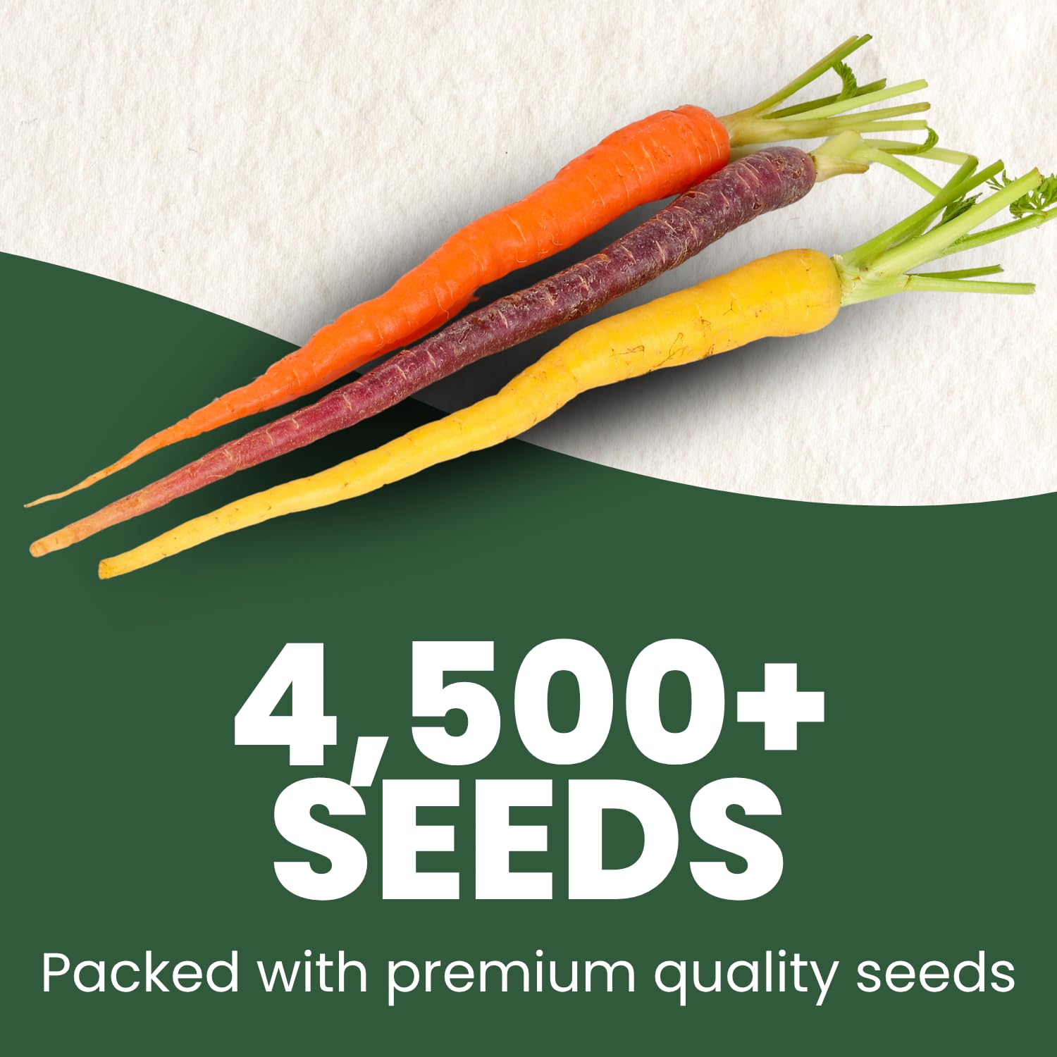 Family Sown rainbow carrots basket highlights crisp roots for snacking and meals.