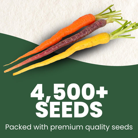 Family Sown rainbow carrots basket highlights crisp roots for snacking and meals.