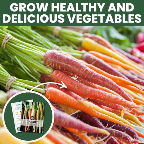 Family Sown seed-germination-viability highlights freshness and sprouting potential.