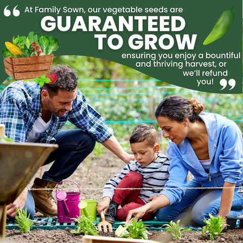 Family Sown 1-gram pouch keeps seeds potent and ready for early sowing.